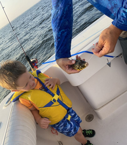 Barnegat Bay bites are the best!